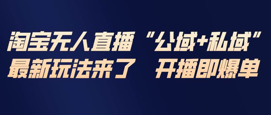 淘宝无人直播实操指南：私域与公域双线布局，探索高效运营新路径