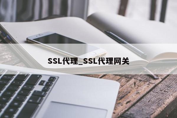 SSL代理_SSL代理网关