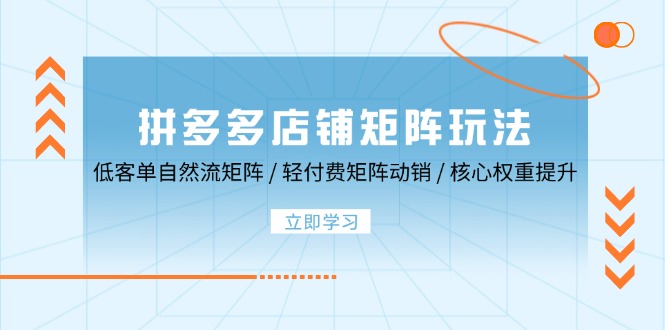 <span style='color:#ff0000'>拼多多店铺矩阵玩法：低客单自然流矩阵 / 轻付费矩阵 动销 / 核心权重提升</span>