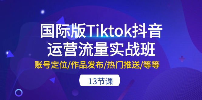 <span style='color:#a100e0'>国际版Tiktok抖音运营流量实战班：账号定位/作品发布/热门推送/等等-13节</span>