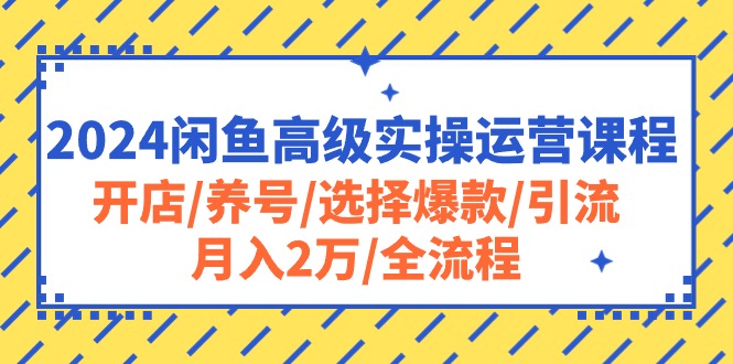 <span style='color:#001aff'>2024闲鱼高级实操运营课程：开店/养号/选择爆款/引流/月入2万/全流程</span>