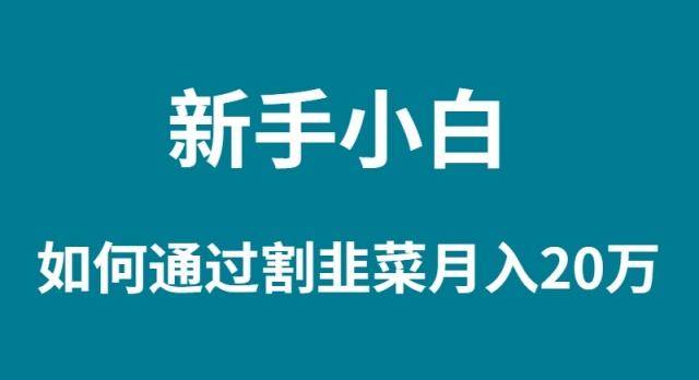 <span style='color:#001aff'>新手小白如何通过割韭菜月入</span>