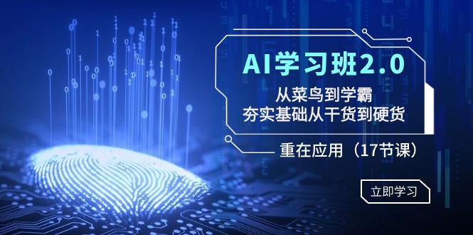 <span style='color:#bd7800'>AI学习班2.0：从菜鸟到学霸，夯实基础从干货到硬货，重在应用（17节课</span>