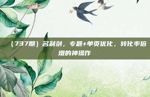 (737期)名利剑,专题+单页优化,转化率倍增的神操作