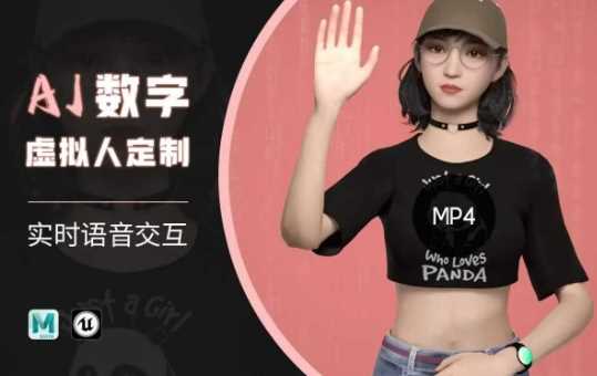 Ai数字人虚拟(智能体)实时语音交互特训营,自行定制超写实角色AI数字人交互技术
