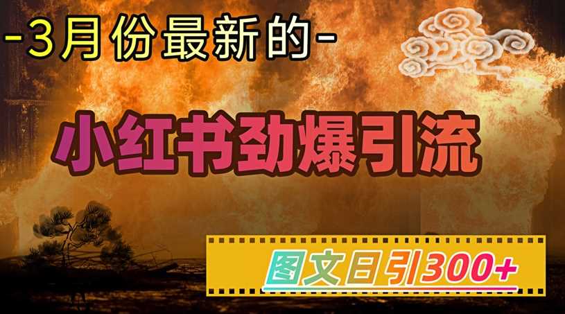 小红书超劲爆引流手段,图文日引300+轻松变现1W