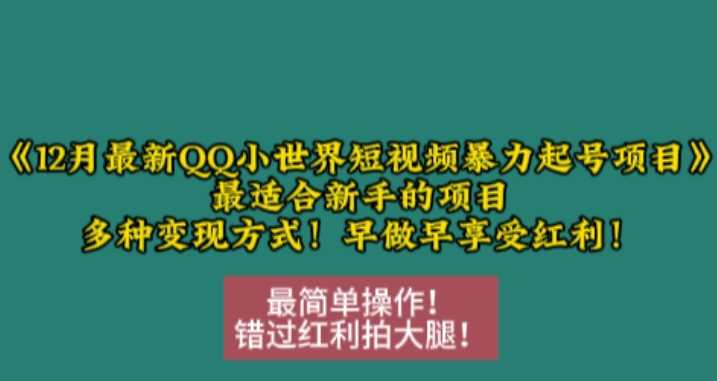 12月最新QQ小世界短视频暴力起号项目,最适合新手的项目,多种变现方式