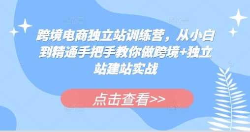 跨境电商独立站训练营,从小白到精通手把手教你做跨境+独立站建站实战