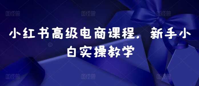 小红书高级电商课程,新手小白实操教学