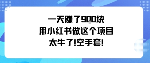 一天挣了9张用小红书做这个项目太牛了,空手套