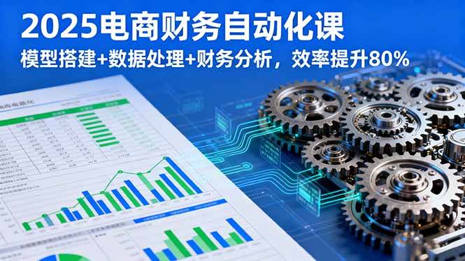 电商财务自动化实战指南:模型搭建与数据处理,高效完成财务分析