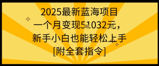 2025年蓝海项目实操指南:新手轻松掌握完整方法体系,实现稳定收益突破