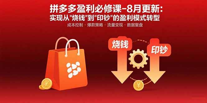 拼多多运营进阶指南：突破增长瓶颈，构建可持续的盈利模式