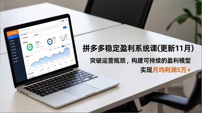 拼多多运营系统课程：突破店铺增长瓶颈，构建可持续盈利模型，实现稳定收益提升