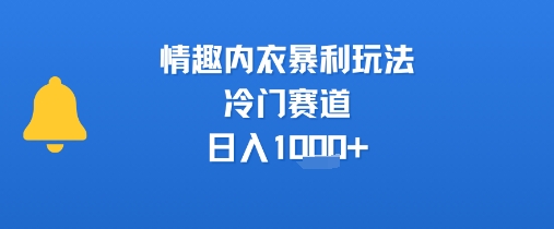 情趣内衣市场经营策略：冷门赛道发掘与日常盈利模式解析