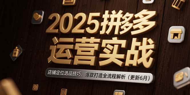 2025拼多多运营实战指南：精准定位与选品策略，系统化打造爆款全流程解析