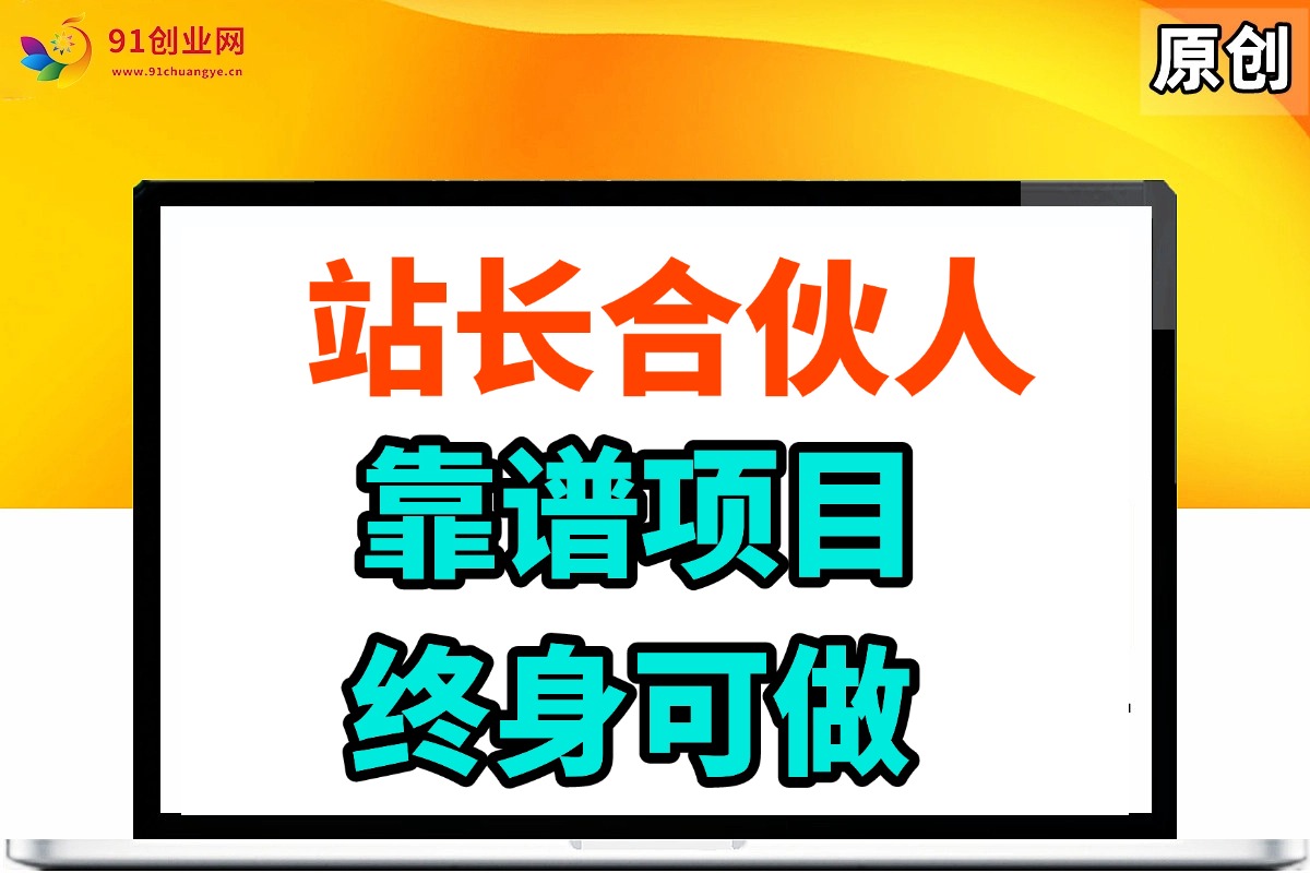 站长合伙人运营入门指南：低成本创业实战教程，构建长期稳定收益模式