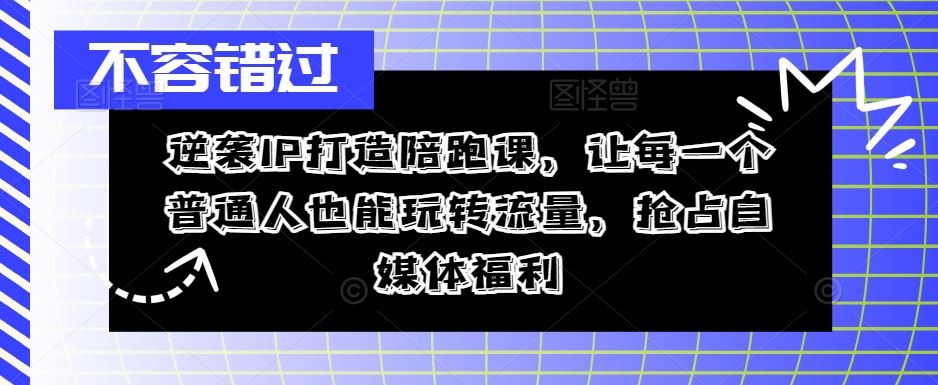 普通人如何打造个人IP:从零到一的实操指南,助你玩转自媒体流量