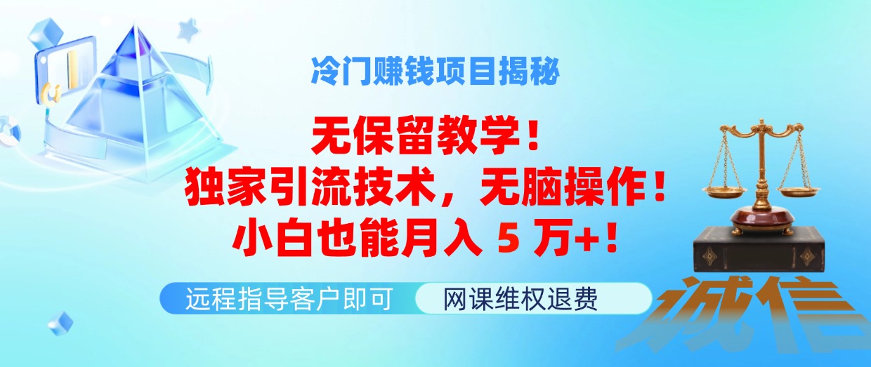 冷门项目实操全解析:独家引流技术详解,新手也能快速掌握稳定方法