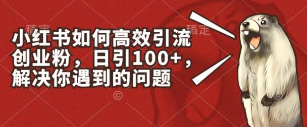 小红书创业粉引流三步法：高效策略与实操指南，解决精准获客难题