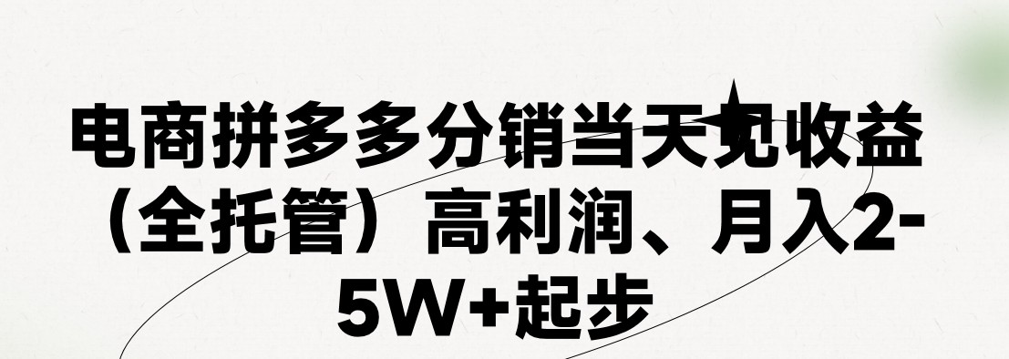 拼多多新店运营实战指南：零基础快速入门，老运营全程代操作助销量破百