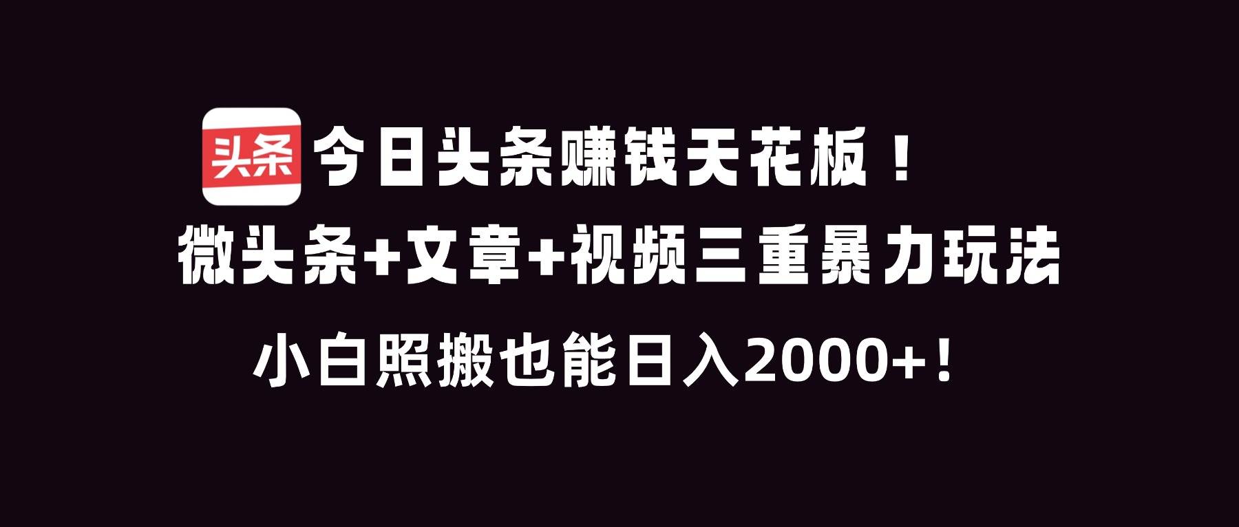 (16348期)今日头条赚钱天花板!微头条+文章+视频三重暴利玩法,小白照搬也能日人2000+