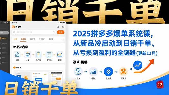 (16364期)2025拼多多爆单系统课,从新品冷启动到日销千单、从亏损到盈利的全链路(更新12月)