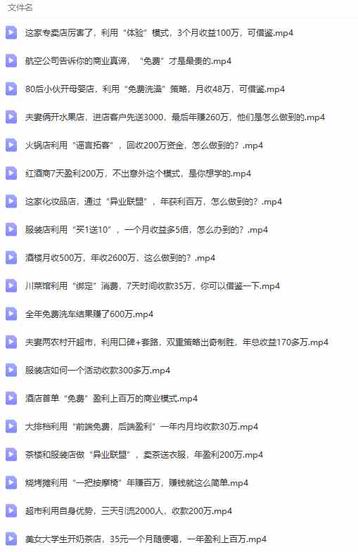 （9607期）真实有效391套商业模式，年入几十到几百万案例解析（电子书+视频+图文）（8）