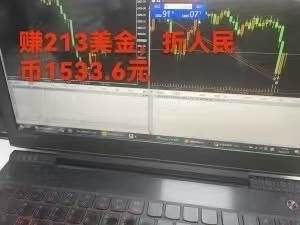 （15632期）稳定8年的美刀搬砖项目，单人每日收益800—3000.团队4人月入10W+.可线下（4）