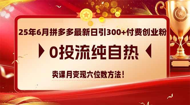 （14989期）25年6月拼多多最新日引300+付费创业粉，0投流纯自热 卖课月变现六位数方法