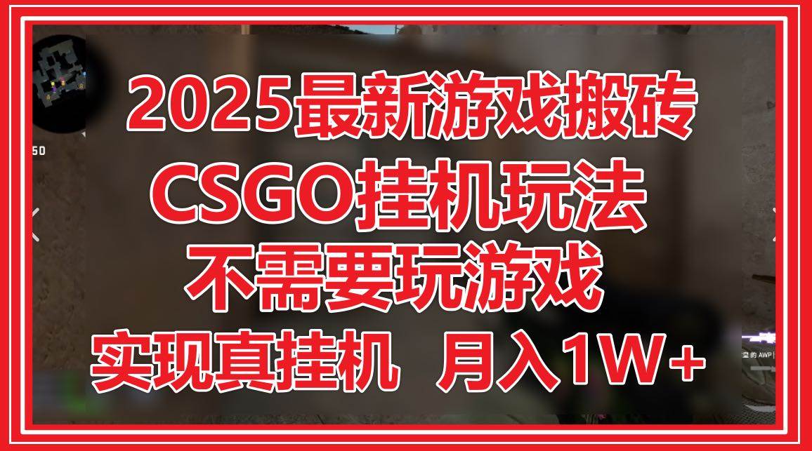 （14743期）2025最新游戏搬砖，CSGO挂机，不需要玩游戏，实现真挂机，月入1W+