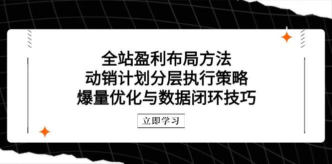 (14698期)全站盈利布局方法:动销计划分层执行策略,爆量优化与数据闭环技巧 (14698期)全站盈利布局方法:动销计划分层执行策略,爆量优化与数据闭环技巧