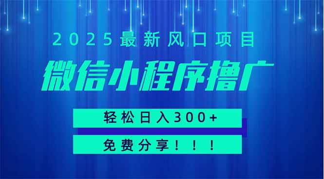 （14375期）微信小程序撸广，最新风口项目，日入300+ 免费分享 可批量操作 小白可…