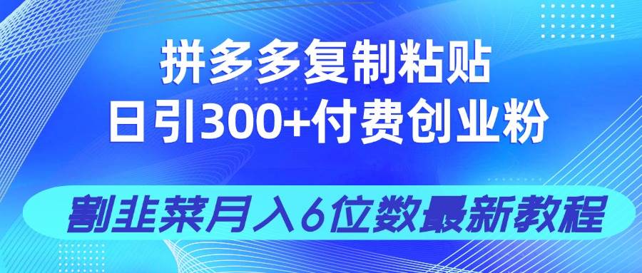 (14232期)拼多多复制粘贴日引300+付费创业粉,割韭菜月入6位数最新教程!