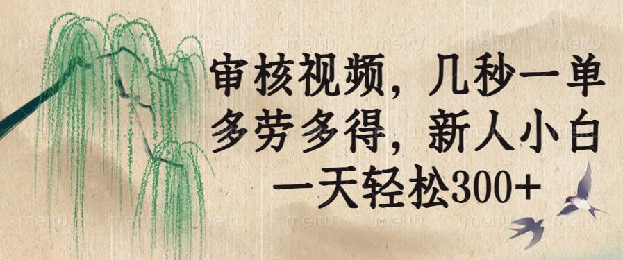 （14203期）审核视频，几秒一单，多劳多得，新人小白一天轻松300+