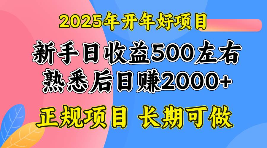 (14076期)2025开年好项目,单号日收益2000左右