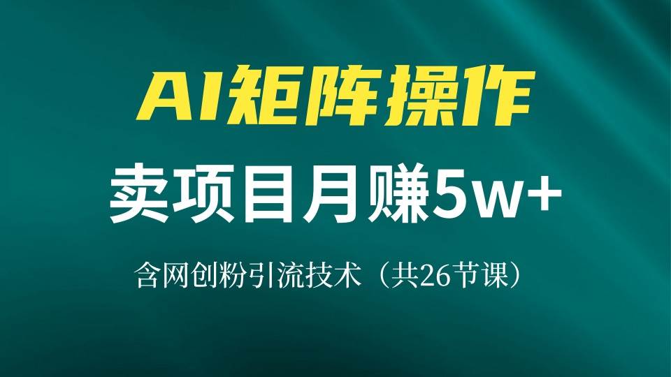 (13335期)网创IP打造课,借助AI卖项目月赚5万+,含引流技术(共26节课)