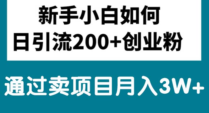 (10843期)新手小白日引流200+创业粉,通过卖项目月入3W+ (10843期)新手小白日引流200+创业粉,通过卖项目月入3W+