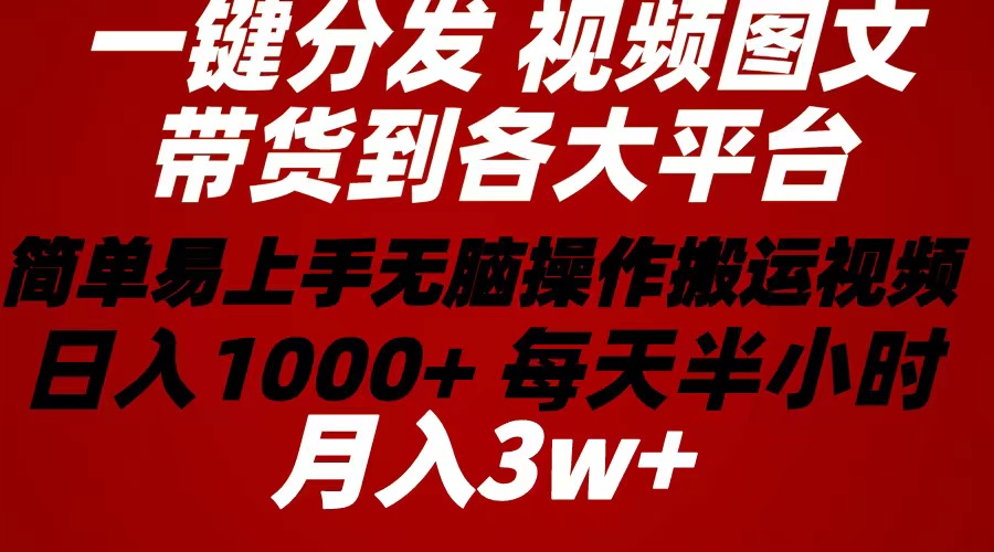 (10667期)2024年 一键分发带货图文视频 简单易上手 无脑赚收益 每天半小时日入1…