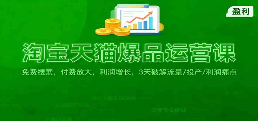 淘宝天猫爆品运营课:免费搜索,付费放大,利润增长,3 天破解流量/ 投产/利润痛点