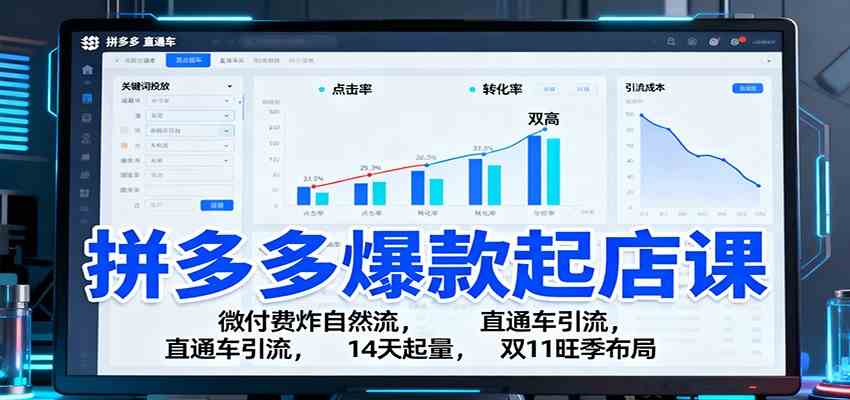拼多多爆款起店课：微付费炸自然流，直通车引流，14天起量，双11旺季布局