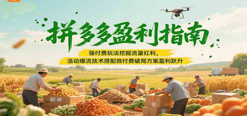 拼多多盈利指南:强付费玩法挖掘流量红利,活动爆流技术搭配微付费方案实现盈利跃升 拼多多盈利指南:强付费玩法挖掘流量红利,活动爆流技术搭配微付费方案实现盈利跃升