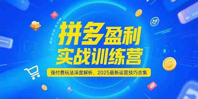 拼多多盈利实战训练营,强付费玩法深度解析,2025最新运营技巧合集 拼多多盈利实战训练营,强付费玩法深度解析,2025最新运营技巧合集