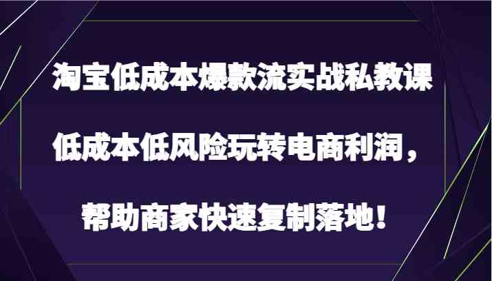 淘宝低成本爆款流实战私教课,低成本低风险玩转电商利润,帮助商家快速复制落地!
