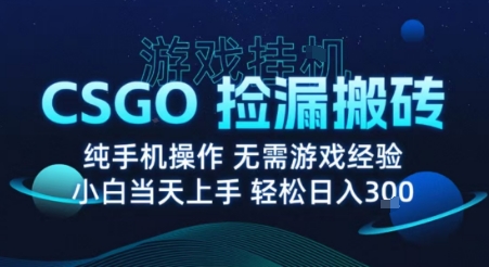 8月最新游戏搬砖,CSGO纯挂G,不需要玩游戏,实现真挂G,月入1W+【揭秘】 8月最新游戏搬砖,CSGO纯挂G,不需要玩游戏,实现真挂G,月入1W+【揭秘】