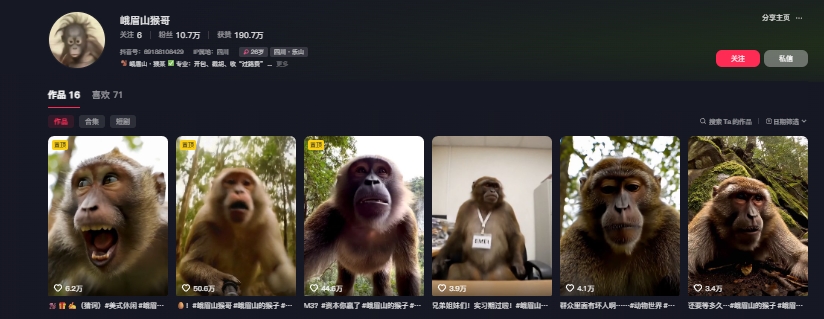 峨眉山猴子短视频爆火、掌握教程与核心提示词、轻松打造十万点赞爆款（2）
