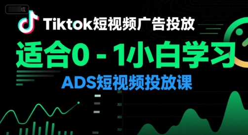 TikTok广告投放实战课 从零入门到精通 短视频营销新手必备指南