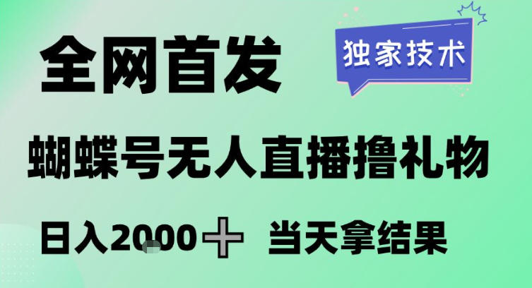 蝴蝶号无人直播掘金技术、独家首发小白月入3万、长期稳定项目揭秘