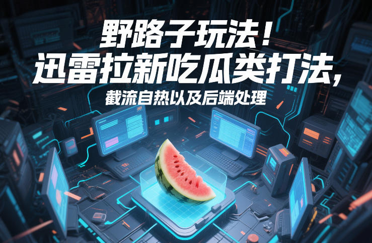 野路子玩法解析、迅雷拉新截流实战、后端处理与自热转化