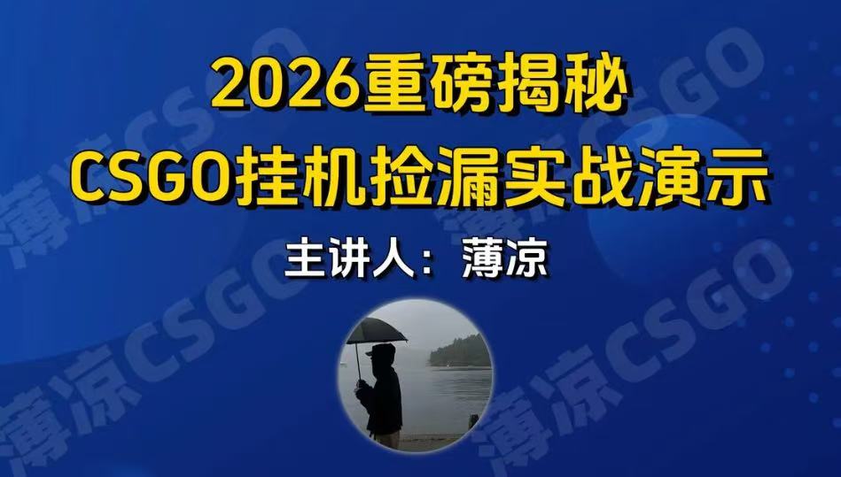 CSGO挂机搬砖全新升级、手机操作日赚300、当天见效支持验证
